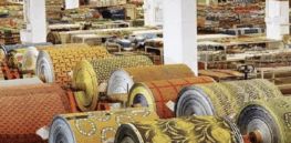 Industrial ‘white biotechnology’ poised to jump-start Nigerian economy