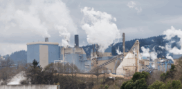 Here’s the scoop on Big Tech’s multi-million dollar carbon removal climate bet