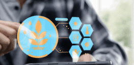 Future of food security: The downside of the digitalization of agriculture for the most vulnerable countries