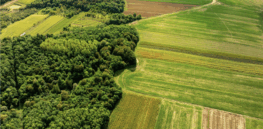 The world’s agricultural farmland is shrinking but production is up. Can this trend continue?