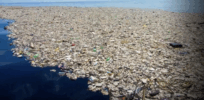 The EU passes landmark legislation to curb plastic nurdles threatening ocean ecosystems. It's not enough. Genetically engineered bacteria could help