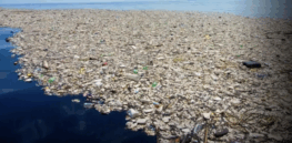 The EU passes landmark legislation to curb plastic nurdles threatening ocean ecosystems. It's not enough. Genetically engineered bacteria could help