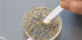  ‘Deficient, Unreliable, Corrupted’: Independent EU food science watchdog agency eviscerates junk studies weaponized by NGO activists to manufacture microplastic crisis and litigation