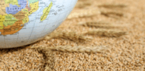 Our global food system is increasingly under strain. What needs to be done?