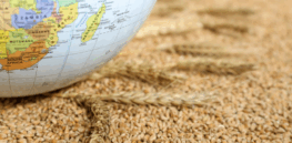 Our global food system is increasingly under strain. What needs to be done?