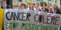 “It's raining neonicotinoids in Japan!” How the French media, environmentalists, and activist scientists conspired to distort science and severely damage the farm economy