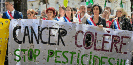 “It's raining neonicotinoids in Japan!” How the French media, environmentalists, and activist scientists conspired to distort science and severely damage the farm economy