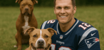 Tom Brady paid $50,000 to clone his beloved dog. The same procedure can help revive endangered, inbred species
