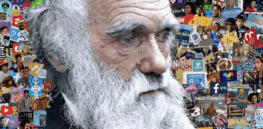 Can culture evolve through natural selection?