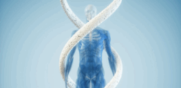 Would humans re-evolve if we went extinct?