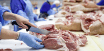 What would be the global labor impact if the world embraces a more plant-based diet