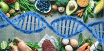 The genetics of food cravings and aversions
