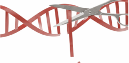 RFK, Jr. endorses expedited approvals for gene editing therapy