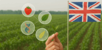 Taste, nutrition, yield, disease resistance, climate resilience: England becomes first country in Europe to legalize the development and sale of gene-edited plants and food