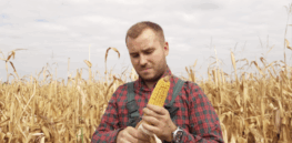 Viewpoint: The Washington Post’s ignorant article suggesting corn country deaths are driven by the herbicide glyphosate