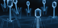 AI-designed viruses raise fears over creating life