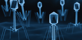 AI-designed viruses raise fears over creating life