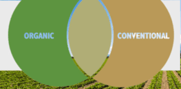Here’s an argument for breaking the binary framework that now separates organic and conventional
