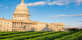 Viewpoint: The U.S. Congress needs to dramatically and quickly overhaul its regulation of agricultural biotechnology