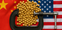 As Trump’s tariff war with China oscillates, America’s soybean farmers are trapped in a vise