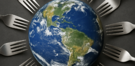 How to future-proof global food security to meet 2050 demands