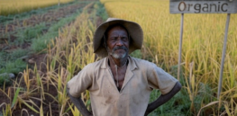 Viewpoint: For the developing world, ‘nature-friendly’ organic and regenerative farming lags in production and sustainability