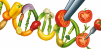 Most people have no clue how gene edited could tweak crops, but when the benefits are clear, they are receptive