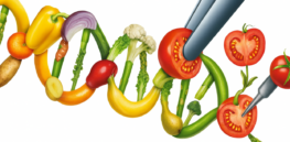 Most people have no clue how gene edited could tweak crops, but when the benefits are clear, they are receptive