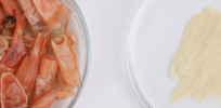 Agri-biotechnology innovators turn to living organisms and natural materials to build future-focused food systems