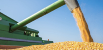 Activist claims that U.S. crop yields are in decline are mostly propaganda