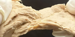 Fungus ‘meat’? Yes, it could be a less expensive, environmentally sustainable —and tasty— chicken substitute