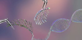 Outside the boundaries of modern science? Gene editing opens the door to treat rare diseases 