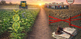 Disinformation Attacks on Food and Farming: Year in Review