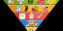 Viewpoint: America’s upside-down, upside-down food pyramid is bad science