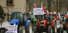 Viewpoint: European farmers protest the nightmare of the Green Deal and other science-rejectionist EU agricultural regulations