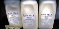 Unpasteurized milk scandal: 2% of the U.S. drinks unpasteurized milk but it causes 22x more infections