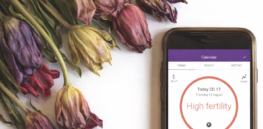 Anti-birth control activists promote useless apps and misinformation claiming to ‘naturally’ curtail pregnancy