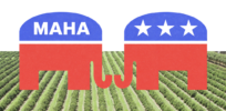 Pesticides in the crosshairs as MAHA goes head to head with Republican establishment