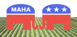 Pesticides in the crosshairs as MAHA goes head to head with Republican establishment