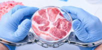 Spewing misinformation about cultivated meat, Arizona lawmaker wants to send science innovators to prison