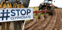 Viewpoint — Glyphosate: Ecological villain or environmental scapegoat? 
