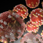 Screenshot-2026-03-02-at-2.02.19-PM