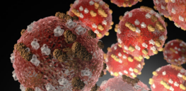 RFK, Jr. is wrong—measles do not boost your immune system