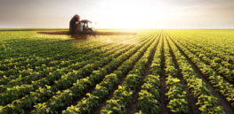 Viewpoint: Is the Republican-backed farm bill an agriculture industry giveaway?