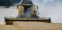 Viewpoint: Wheat has become a target of glyphosate critics. Should the herbicide be banned?