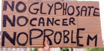 Viewpoint: The ‘link to cancer’ myth—Activist and trial lawyers misrepresent the potential danger of glyphosate and other herbicides 
