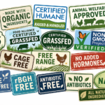 ChatGPT-Image-Apr-17-2026-03_30_52-PM