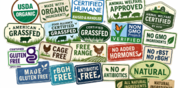 Food labels, decoded: What they really mean