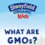 Viewpoint: ‘Safer for children?’ Stonyfield yogurt under fire for deceptive organic marketing