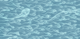 Swim club: Expensive male fertility supplements are all the rage